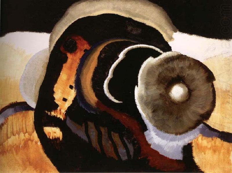 Arthur Dove Gladness oil painting picture